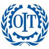 Organisation internationale du travail
