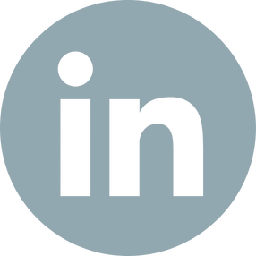 Icône LinkedIn