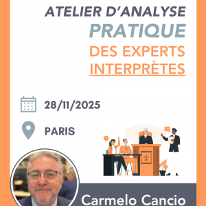 Atelier d'analyse des pratiques des experts interprètes