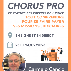 Chorus Pro et statuts des experts de justice :  tout comprendre pour se faire payer ses missions judiciaires